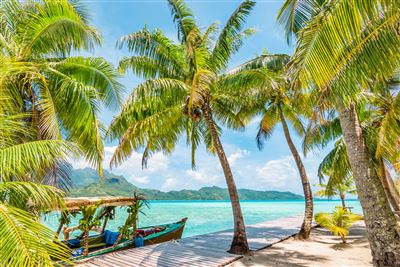 Palmen am Strand auf Bora Bora